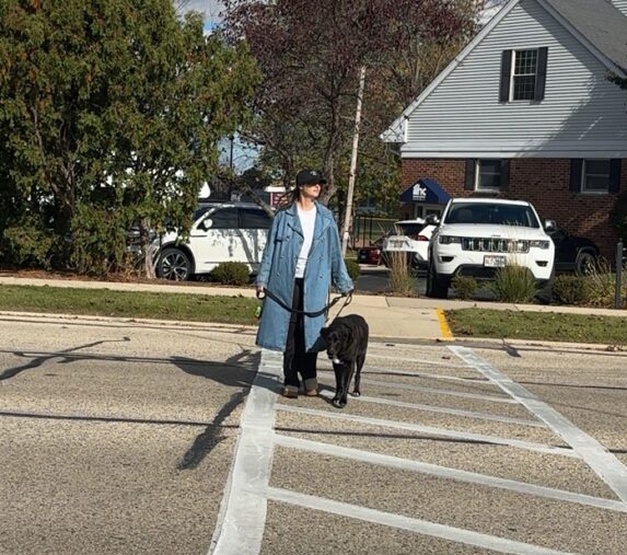 A person walking a dog across the street in a crosswalk