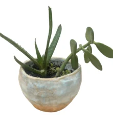 Shallow planter with light brown and light blue highlights.