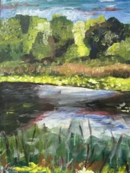 A beautiful day of sunshine reflecting off the water lilies