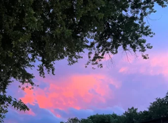 Photo of a dramatic sky at dusk with pink-purple clouds with a tree overhanging the view.