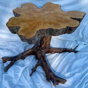 Wooden table with a cypress cross section top and tree root base.